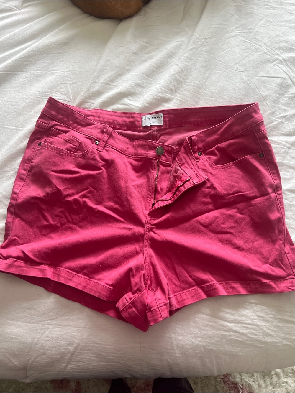 Lane Bryant Bright Pink High-Waist Cotton Blend Shorts